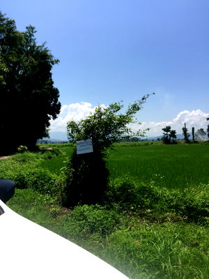 ที่ดิน แม่ทะ ลำปาง : ขายที่ดิน1ไร่3งาน 58 ตรว ตำบลนาครัว อำเภอแม่ทะ จังหวัดลำปาง 