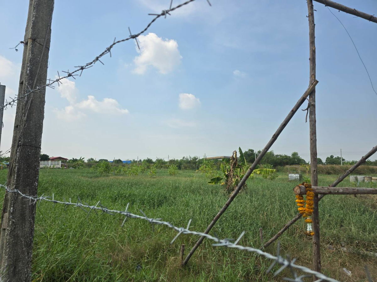 รูป ที่ดินแบ่งขาย สวยๆ ถมแล้ว สุวินทวงศ์ 51 หนองจอก ใช้ดินดีถมด้วยหน้าดินทั้งแปลง เข้าซอยเพียง 400 เมตร ทำเลดี - รูปที่ 10/21