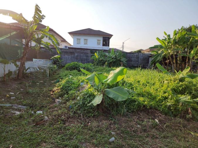 ขายที่ดิน 50 ตร.ว. เขตสายไหม