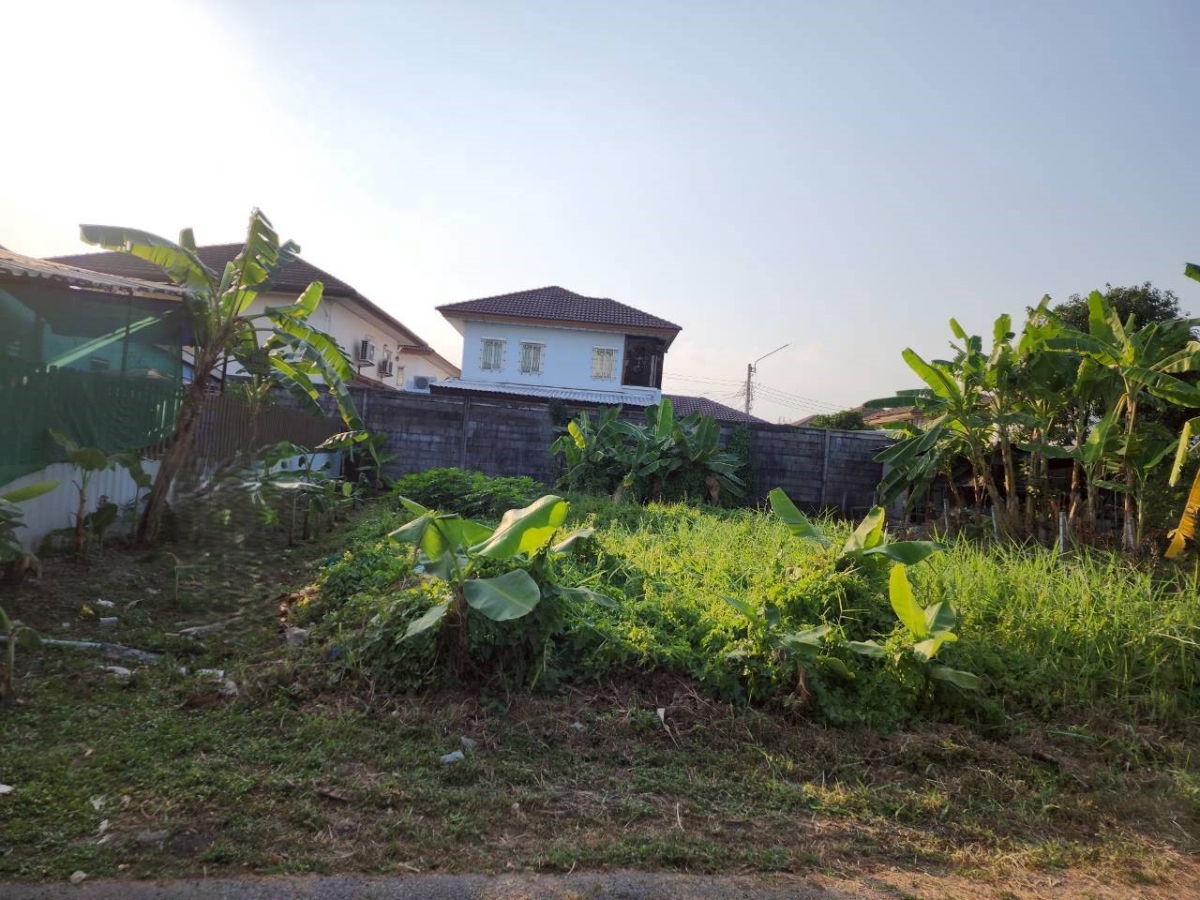 รูป ขายด่วนที่ดินเปล่า 50 ตร.ว. ซอยสายไหม 64 (ออเงิน) แปลงสวย ทรงสี่เหลี่ยม พร้อมปลูกบ้านได้ทันที - รูปที่ 6/6