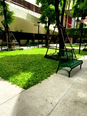 ขายคอนโด : เจ้าของขายเอง  คอนโดมิเนียม เซ็นทริคซีน รัชวิภา  68.84 ตร.ม ใกล้ MRT วงศ์สว่าง  