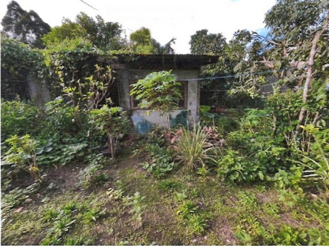 รูป FLK2_059_1 ขายบ้านเดี่ยว ต. บางนายสี อ.ตะกั่วป่า จ.พังงา - รูปที่ 2/8