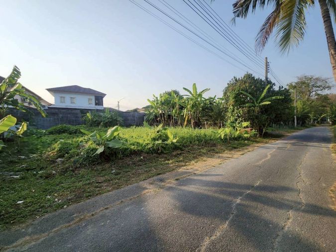 ขายที่ดิน 50 ตร.ว. เขตสายไหม