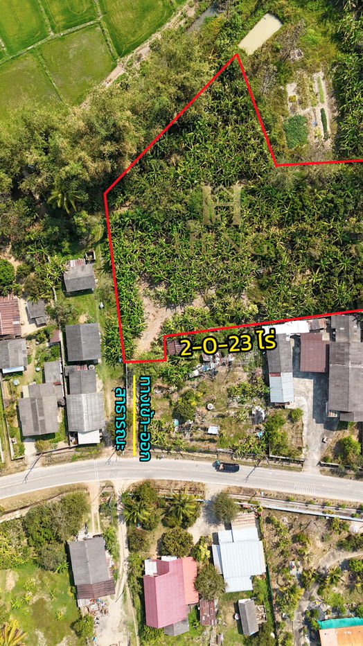 รูป ขายที่ดินเปล่า 2-0-32 ไร่ ต.แม่เย็น อ.พาน จ.เชียงราย 57280 - รูปที่ 11/14