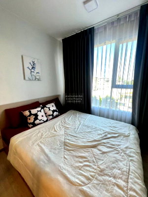 Condos for rent Soi Sukhumvit 101 : For Rent Condo , Plum Condo Sukhumvit 62 , BTS-Bang Chak , Phra Khanong Tai , Phra Khanong , Bangkok , CX-146748 ✅ Live chat with us ADD LINE @connexproperty ✅
