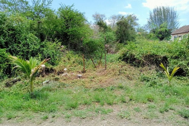 รูป FC2_0009 ขายที่ดินเปล่า ต. ปึกเตียน อ.ท่ายาง จ.เพชรบุรี - รูปที่ 8/8