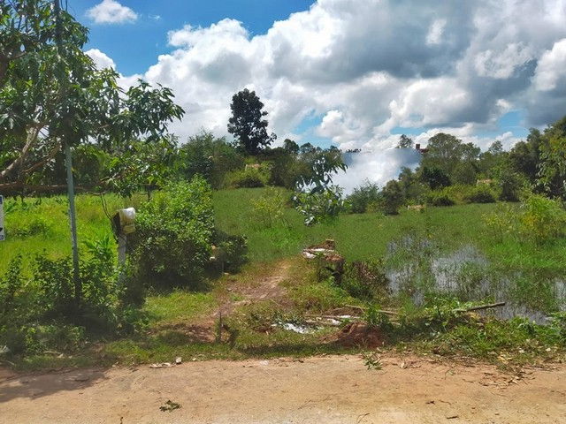 picture FOR SALE  LAND PROPERTY  550000 BAHT. - 8/8