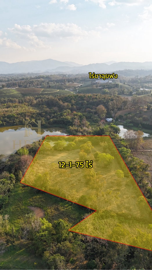 รูป ประกาศขายที่ดิน ทำเลศักยภาพ ใกล้ไร่ชาฉุยฟง แหล่งท่องเที่ยว ตำบลศรีค้ำ อำเภอแม่จัน - รูปที่ 5/12
