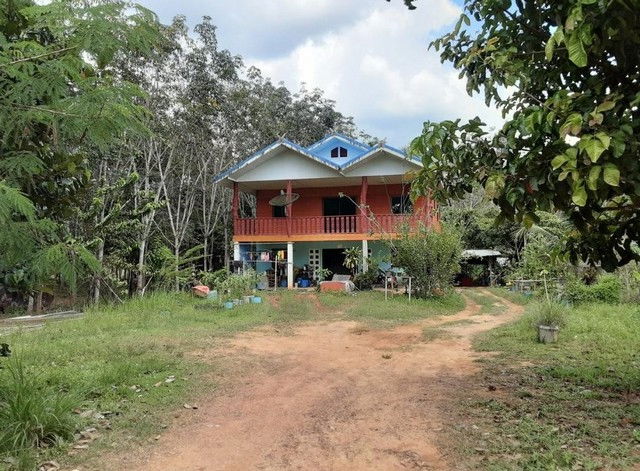 รูป K01005 ขายที่ดินพร้อมสิ่งปลูกสร้าง หมู่บ้าน บ้านยางเกาะ ตำบลปริก อำเภอสะเดา สงขลา - รูปที่ 3/8