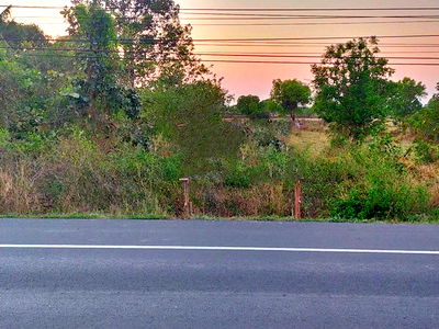 ที่ดิน สุรินทร์ : F6-0550 ขายที่ดินเปล่า ต. ตั้งใจ อ.เมืองสุรินทร์ จ.สุรินทร์