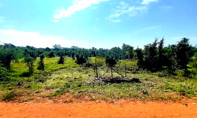 Land for sale Nakhon Ratchasima : FOR SALE  LAND PROPERTY  800000 BAHT.