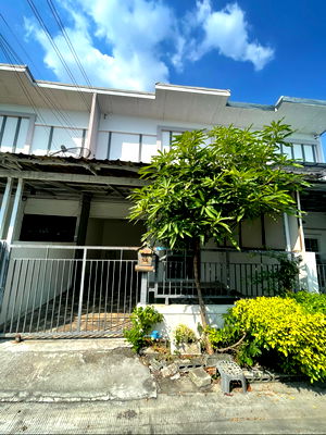 เช่าทาวน์โฮม เซ็นทรัล พลาซ่า เวสต์เกต : ให้เช่าบ้าน Lio Nov วงแหวน – ปิ่นเกล้า อยู่ซอยวัดพระนอน ใกล้เซนทรัลเวสเกต 