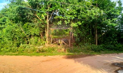 Land for sale Chaiyaphum : FOR SALE  LAND PROPERTY  360000 BAHT.