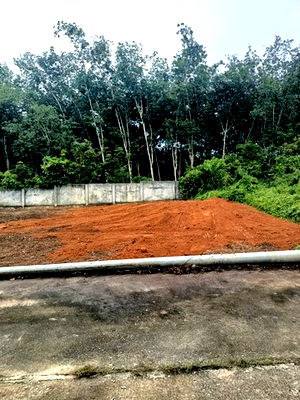 Land for sale Diana Plaza Hat Yai : FOR SALE  LAND PROPERTY  6878000 BAHT.