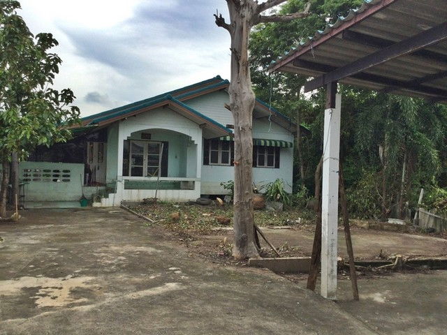 รูป F1-0164 ขายบ้านเดี่ยว ตำบลบางพูด อำเภอเมืองปทุมธานี ปทุมธานี (โปรโมชั่นจนถึงวันที่ 30 มิถุนายน 2569) - รูปที่ 8/8