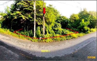 ที่ดิน หาดใหญ่ สงขลา : K01504 ขายที่ดินเปล่า ตำบลคลองแห อำเภอหาดใหญ่ สงขลา