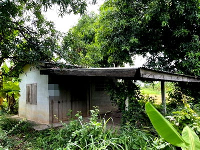 Land for sale Lopburi : FOR SALE  LAND PROPERTY  382000 BAHT.