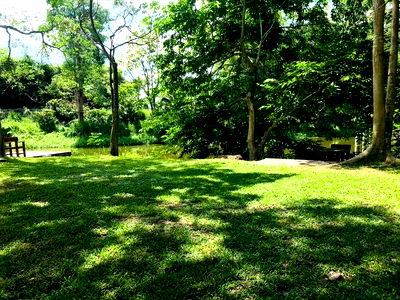 ที่ดิน นิคมปิ่นทอง : ที่ดินทำเลทอง ใกล้อ่างเก็บน้ำบางพระ ศรีราชา วิวสวยธรรมชาติ บรรยากาศดี 