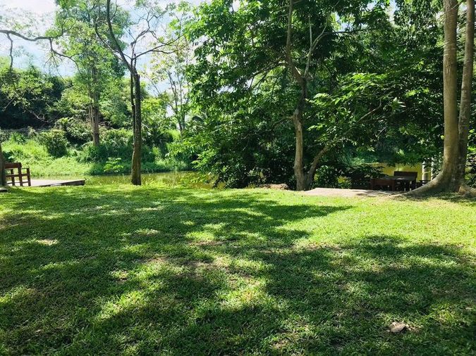 ที่ดินทำเลทอง ใกล้อ่างเก็บน้ำบางพระ ศรีราชา วิวสวยธรรมชาติ บรรยากาศดี 