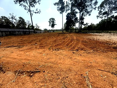 ที่ดิน ม.เอเชียน : ขายถูกที่ดินถมแล้ว 8 ไร่ ผังสีส้ม ห้วยใหญ่ พัทยา ใกล้สนามกอล์ฟ ฟีนิกซ์ ซอยโลมา เหมาะทำโรงแรม รีสอร์ท ร้านอาหารป่า-ร้านกาแฟ