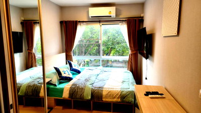 Condos for rent : Plum Alive Rangsit 1 and  2 for rent