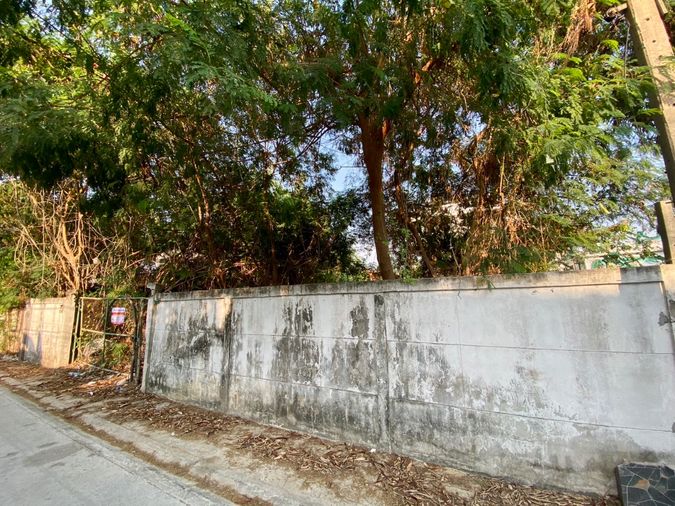 Land for sale, 105 sq wah, Din Daeng