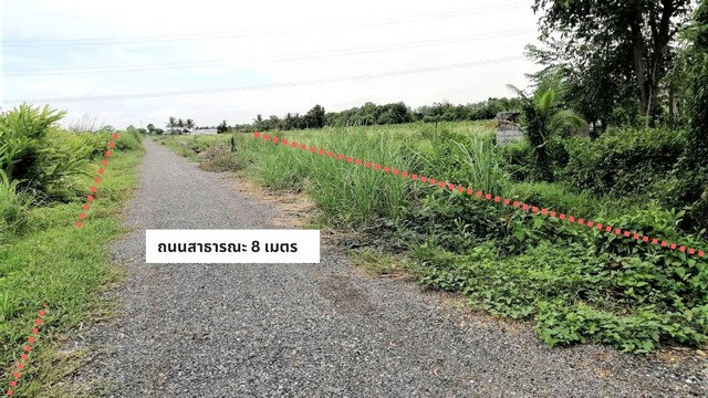 รูป ขายถูกที่ดิน 15 ไร่ 6,000 ตรว. ผังชมพู ติดถนน 2 ด้าน อนาคตที่ดินแปลงนี้กำลังจะทำถนนเข้าถึงมอเตอร์เวย์ คลอง9 บึงกาสาม หนองเสือ ปทุมธานี - รูปที่ 4/8
