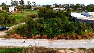 ที่ดิน นิคมปิ่นทอง : ขายที่ดินสวย นาพร้าว ศรีราชา ทำเลดี ราคาสุดคุ้ม 