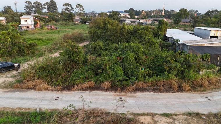 ขายที่ดินสวย นาพร้าว ศรีราชา ทำเลดี ราคาสุดคุ้ม 