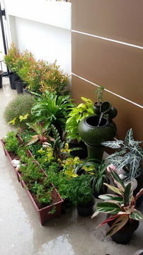 ขายทาวเฮ้าส์ 2 ชั้น หมู่บ้านโฮมอินทาวน์ พานทอง ชลบุรี