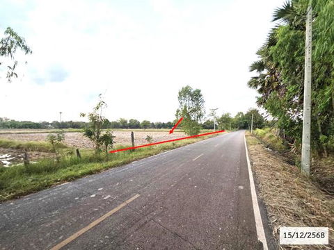 ที่ดินว่างเปล่า สำหรับขาย - ไฮหย่อง พังโคน สกลนคร