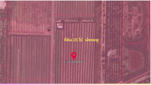 รูป ขายถูกที่ดิน 15 ไร่ 6,000 ตรว. ผังชมพู ติดถนน 2 ด้าน อนาคตที่ดินแปลงนี้กำลังจะทำถนนเข้าถึงมอเตอร์เวย์ คลอง9 บึงกาสาม หนองเสือ ปทุมธานี - รูปที่ 6/8