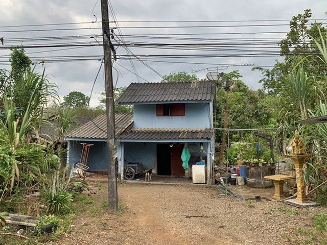 รูป F1-0674 ขายบ้านเดี่ยว ถนนท่าพญา-ปะเหลียน-ทุ่งยาว ต. ท่าพญา อ.ปะเหลียน จ.ตรัง - รูปที่ 8/8