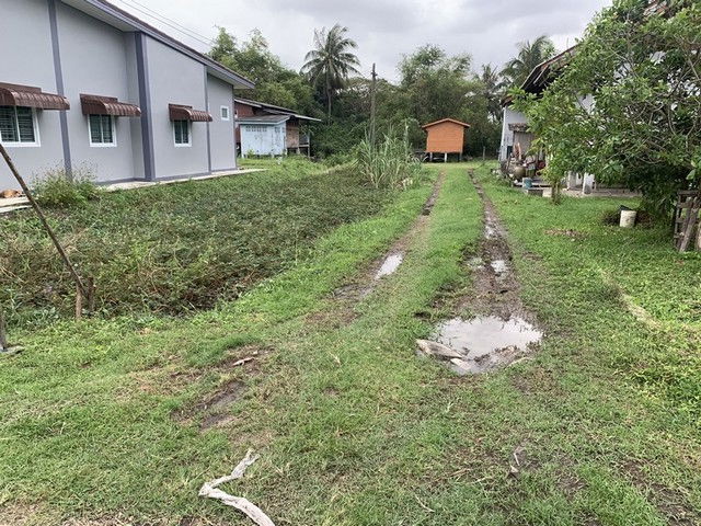 picture FOR SALE  LAND PROPERTY  332000 BAHT. - 3/8