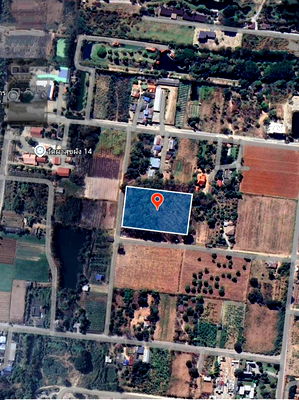 ที่ดิน ปากช่อง โคราช : ขายที่ดินตำบลขนงพระเขาใหญ่ปากช่องนครราชสีมา​  ใกล้ สนามกอฟท์ แลนโช่ ชาญวี  พื้นที่​ขนาด 4 ไร่   