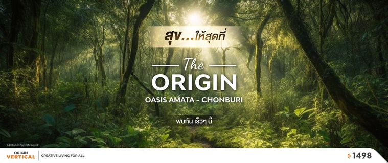 ดิ ออริจิ้น โอเอซิส อมตะ - ชลบุรี (ชะลอโครงการ)