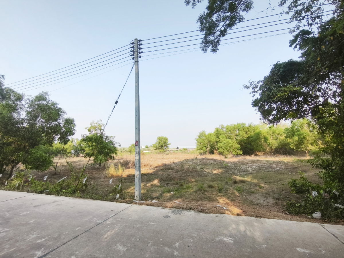 รูป ขายที่ดิน 4 ไร่เศษ ไกล้นิคม 304 ปราจีนบุรี - รูปที่ 4/4