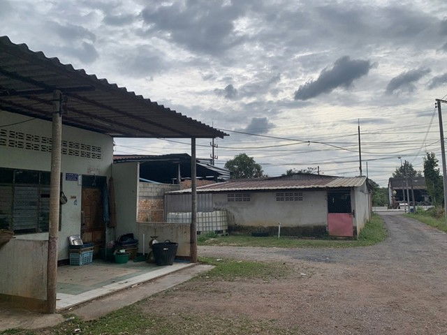 รูป F8-0496 ขายห้องแถว หมู่ที่ 5 ต. นาท่ามเหนือ อ.เมืองตรัง จ.ตรัง - รูปที่ 8/8