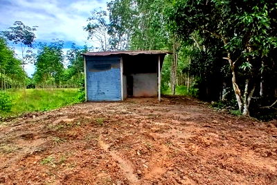 บ้านเดี่ยว สตูล : F2-0452 ขายบ้านเดี่ยว ถนนวังปริง เกาะไทร ต. ท่าเรือ อ.ท่าแพ จ.สตูล