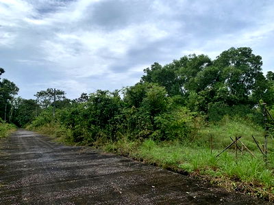 ที่ดิน หาดใหญ่ สงขลา : F4-0502 ขายที่ดินเปล่า ต. ท่าข้าม อ.หาดใหญ่ จ.สงขลา