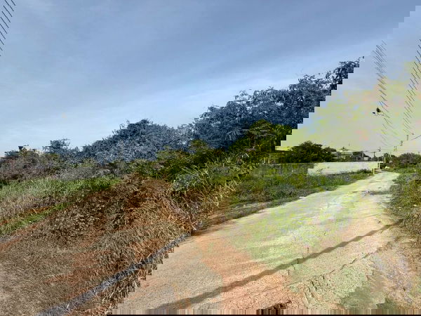 รูป ขายที่ดินสวย นาพร้าว ศรีราชา ทำเลดี ราคาสุดคุ้ม - รูปที่ 13/18