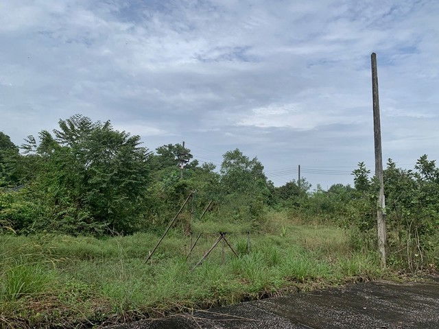 รูป F4-0502 ขายที่ดินเปล่า ต. ท่าข้าม อ.หาดใหญ่ จ.สงขลา - รูปที่ 6/7