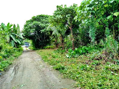 ที่ดิน ดอนสัก สุราษฎร์ธานี : F1-0544 ขายที่ดินเปล่า บ้านใน-ดอนสัก ต. ปากแพรก อ.ดอนสัก จ.สุราษฎร์ธานี