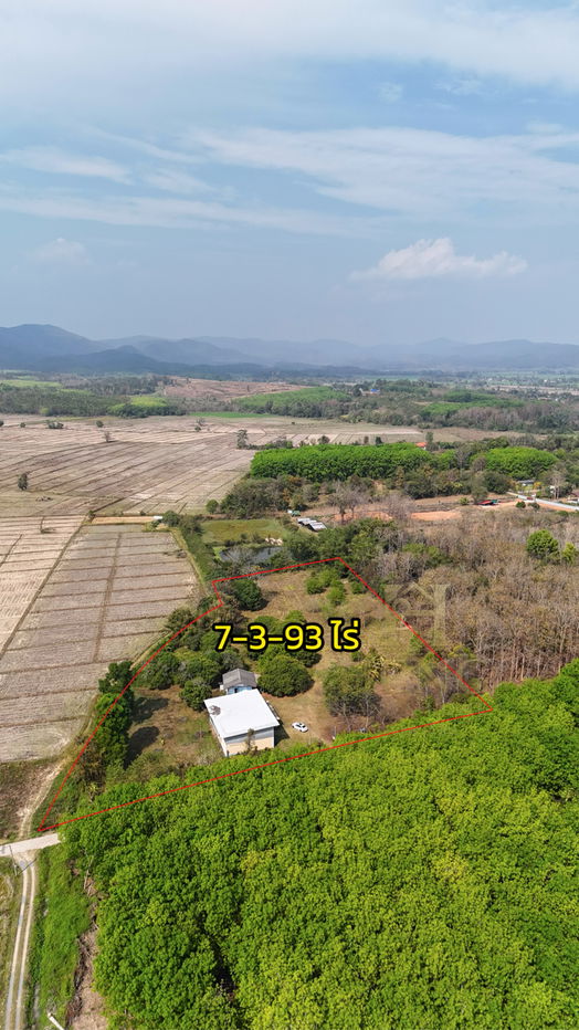 รูป ขายที่ดินเปล่าพร้อมโกดังและบ้าน  บ้านจำปู ต.เจริญเมือง อ.พาน จ.เชียงราย 57120 - รูปที่ 9/15