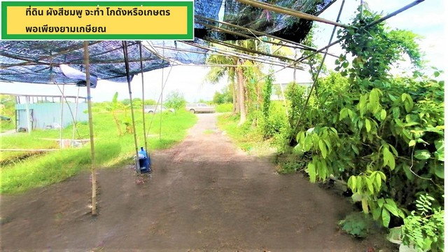 รูป ขายถูกที่ดิน 15 ไร่ 6,000 ตรว. ผังชมพู ติดถนน 2 ด้าน อนาคตที่ดินแปลงนี้กำลังจะทำถนนเข้าถึงมอเตอร์เวย์ คลอง9 บึงกาสาม หนองเสือ ปทุมธานี - รูปที่ 2/8