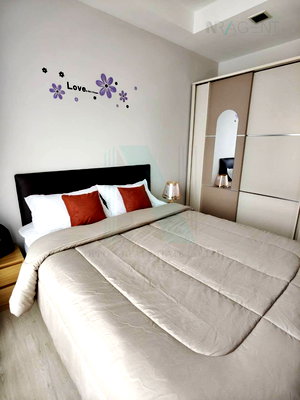 คอนโดให้เช่า : 🎊 ให้เช่าคอนโด ทรู ทองหล่อ อาคาร 1 ชั้น 21 1 ห้องนอน ขนาด 31 ตรม ใกล้ โรงพยาบาลกรุงเทพ