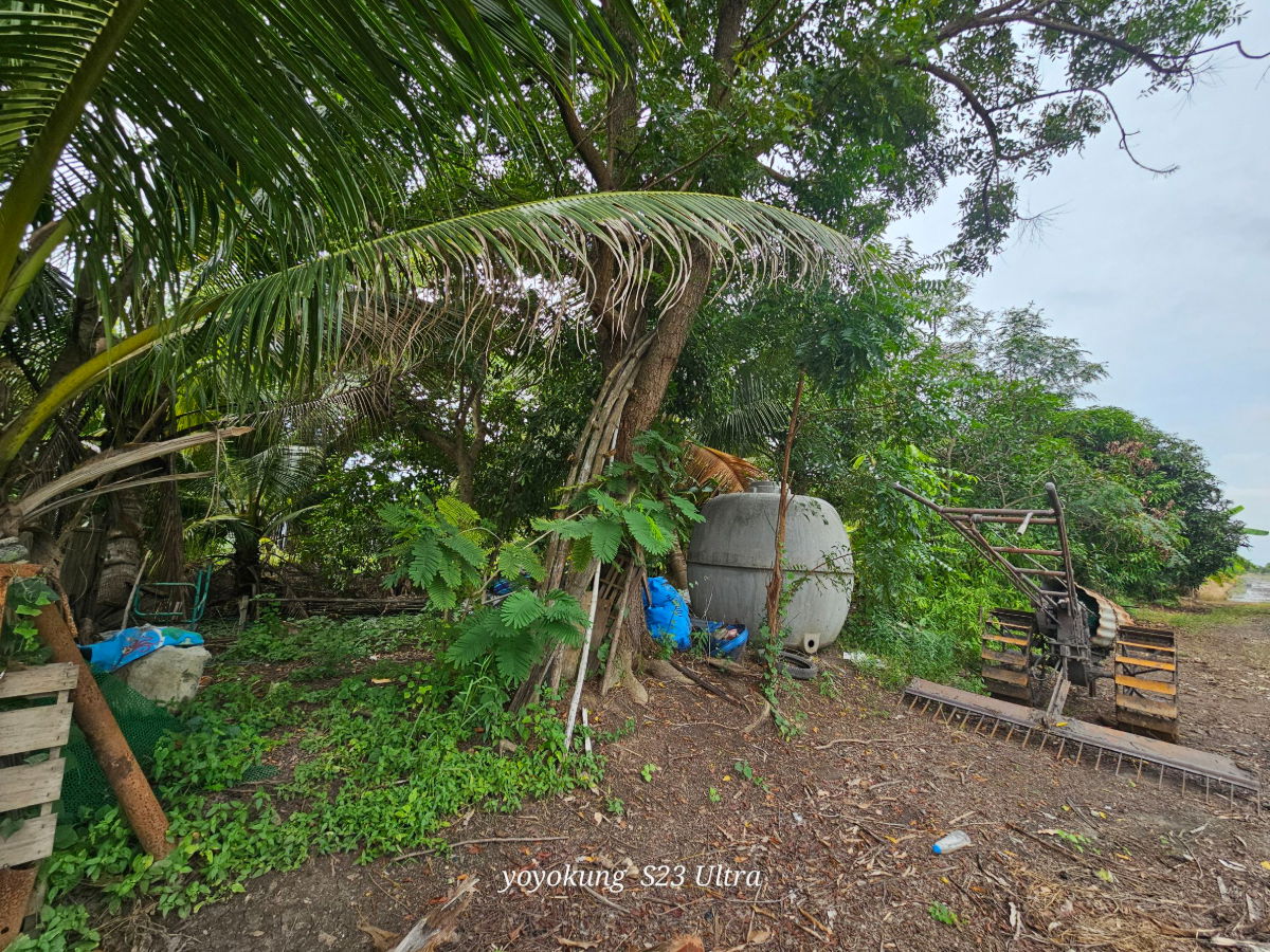 รูป ขายที่ดิน 3-0-80ไร่ พร้อมสิ่งปลูกสร้าง ต.ไทรน้อย อำเภอไทรน้อย นนทบุรี - รูปที่ 2/21