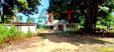 บ้านเดี่ยว เมืองนราธิวาส นราธิวาส : บ้านเดี่ยว สำหรับขาย บ้านบือราเป๊ะ โคกเคียน เมืองนราธิวาส นราธิวาส