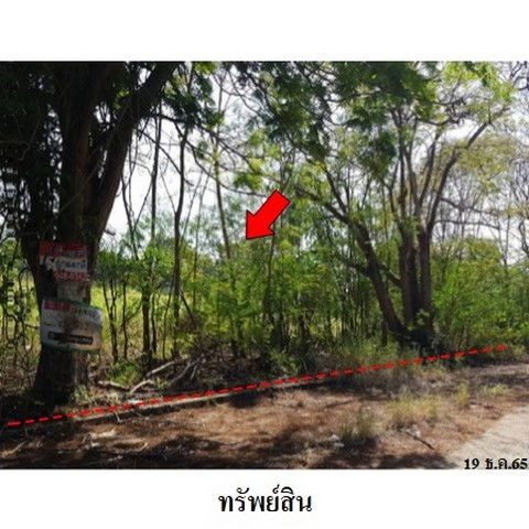picture FOR SALE  LAND PROPERTY  8800500 BAHT. - 4/8