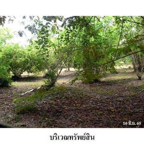 picture FOR SALE  LAND PROPERTY  8427500 BAHT. - 5/8